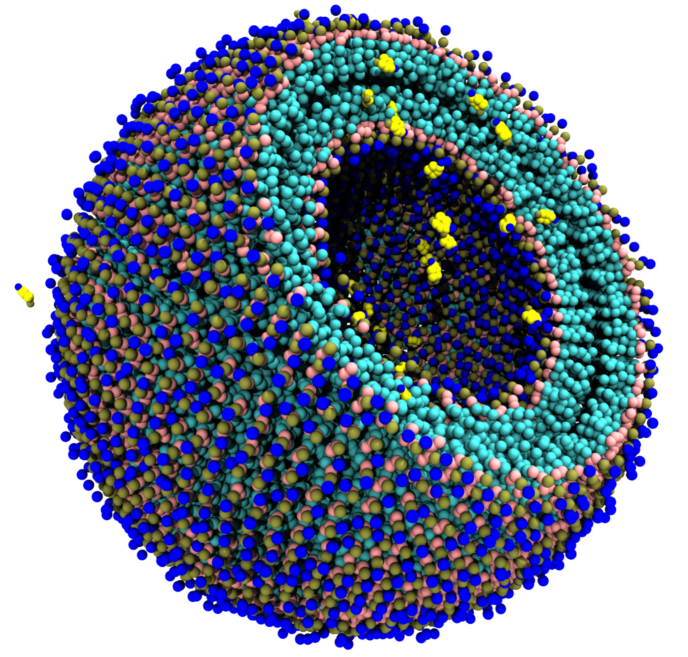 LIPOSOME