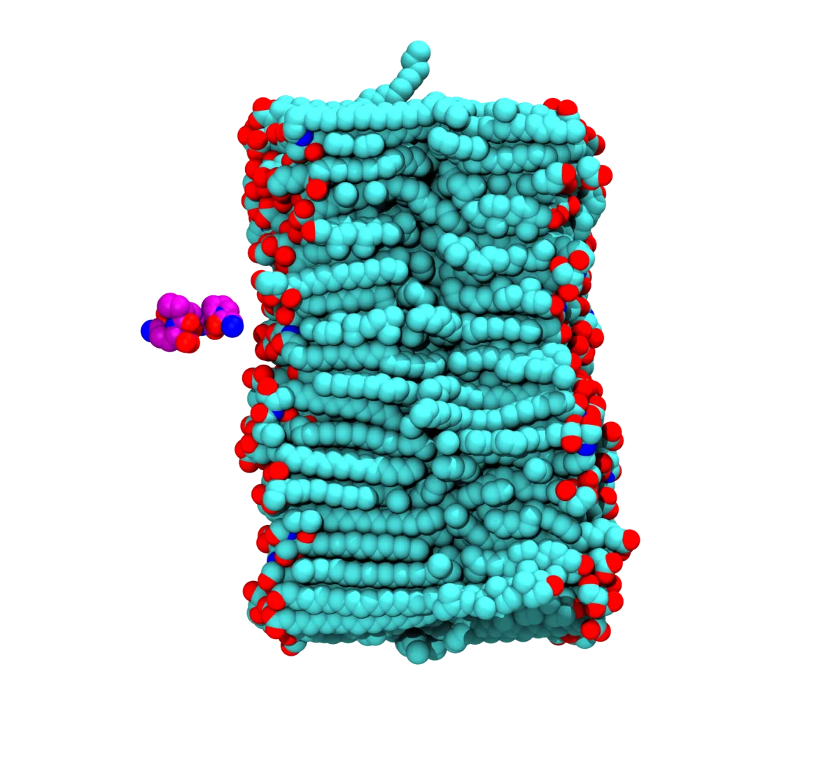 DRUG TRANSMEMBRANE