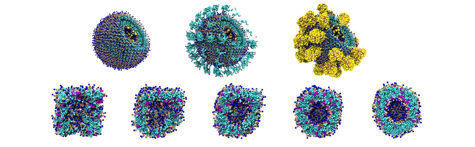 Liposome