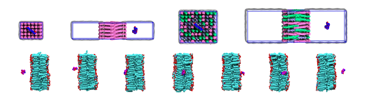 Drug Transmembrane